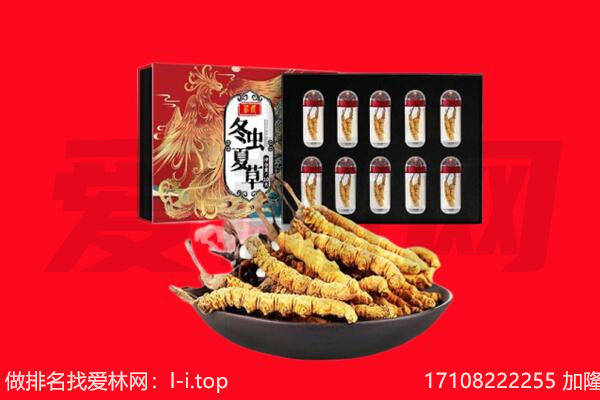 山南加查县回收虫草.jpg